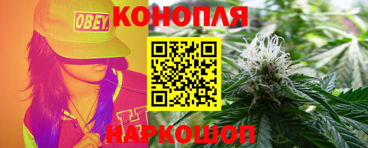 Бошки марихуана план  Вход с VPN  Ялта  Бошки марихуана Bruce Banner 